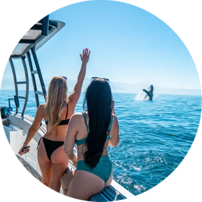 whale-watching-punta-mita-boat-trip-2